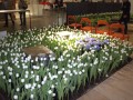 Blumenbeet