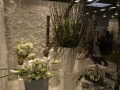 Artfloralschau