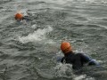 Schwimmer voran