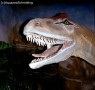 Allosaurus